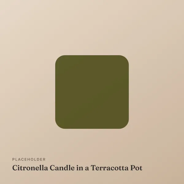 Citronella Candle in a Terracotta Pot